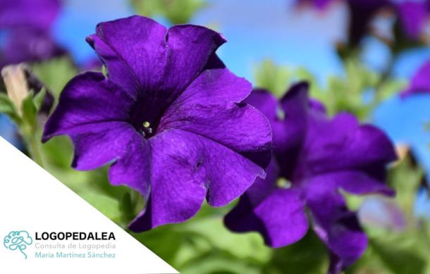 Primavera y logopedia